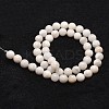 Natural White Crazy Lace Agate Bead Strands X-G-D840-55-10mm-2