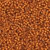 TOHO Round Seed Beads SEED-XTR11-0030BF-2