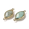 Natural Amazonite Faceted Connector Charms G-K347-03G-21-2