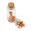 Transparent Glass Wishing Bottle Decoration AJEW-JD00011-05-4