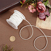 10M Flat Braided Imitation Leather Cords LC-CL0001-04D-3