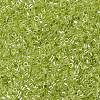 MIYUKI Delica Beads X-SEED-J020-DB1888-3