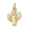 Brass Pendants KK-L248-13G-1