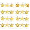 8Pcs Star Zinc Alloy Brooches JEWB-HY0001-40-1