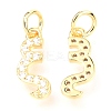 Brass Micro Pave Cubic Zirconia Charms ZIRC-O037-20G-2
