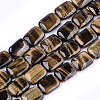 Natural Tiger Eye Beads Strands G-T121-10-1