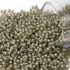 TOHO Round Seed Beads X-SEED-TR11-0369FM-1