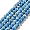 Synthetic Turquoise and Sea Shell Assembled Beads Strands G-D482-01E-04-2