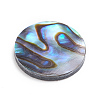 Natural Abalone Shell/Paua Shell Cabochons LS-SSHEL-L017-001-2