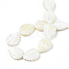 Natural Trochid Shell/Trochus Shell Beads Strands SSHEL-N034-136A-01-4
