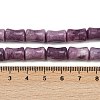 Natural Lepidolite/Purple Mica Stone Beads Strands G-F792-B01-5