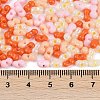 Glass Seed Beads SEED-K010-03N-4