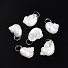 Natural Spiral Shell Pendants SHEL-N036-11-1