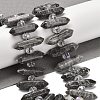 Natural Map Stone Double Terminated Point Beads Strands G-H069-B09-01-2