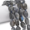 Natural Labradorite Beads Strands G-C270-F01-1