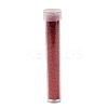 Plastic Glitter Powder Fillers LS-AJEW-H144-01F-2