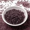 MIYUKI Round Rocailles Beads X-SEED-G008-RR0142-3