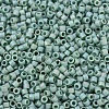MIYUKI Delica Beads SEED-J020-DB2313-3