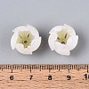 Flower Acrylic Bead Caps SACR-T017-49A-4
