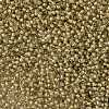 TOHO Round Seed Beads X-SEED-TR11-1073-2