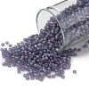 TOHO Round Seed Beads SEED-XTR11-0166DF-1