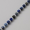 Natural Lapis Lazuli Beads Strands G-WH0021-59D-2
