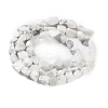 Natural Howlite Beads Strands G-P497-01C-64-3