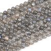 Natural Labradorite Beads Strands G-L654-O02-8mm-2