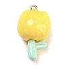 Opaque Resin Pendants LS-RESI-G078-01L-1