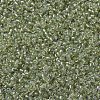 MIYUKI Round Rocailles Beads SEED-JP0008-RR1135-3