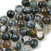 Natural Moss Agate Beads Strands G-C249-A08-16mm-3