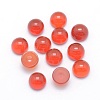 Natural Carnelian Cabochons G-P393-R03-6mm-1