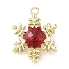 Alloy with Rhinestone Pendants LS-ALRI-U001-02C-02-2