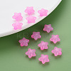 Transparent Acrylic Beads LS-MACR-S373-26E-10-6