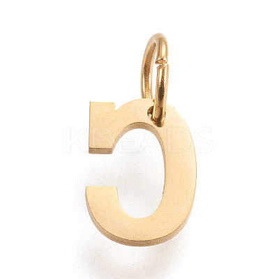 304 Stainless Steel Pendants LS-STAS-M276-A24-1