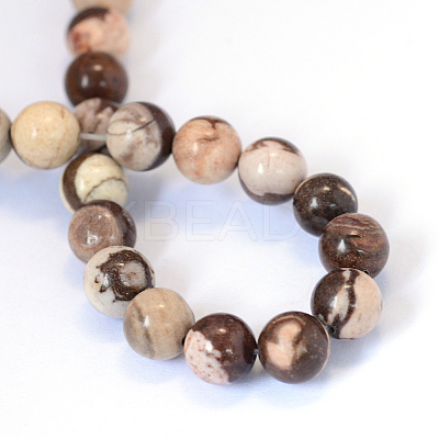 Natural Zebra Jasper Round Bead Strands X-G-E334-6mm-12-1