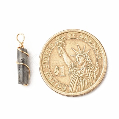 Natural Larvikite Pendants PALLOY-JF01453-05-1