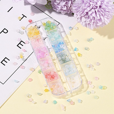 19.2G 12 Colors Frosted Transparent Acrylic Beads OACR-FS0002-18-1