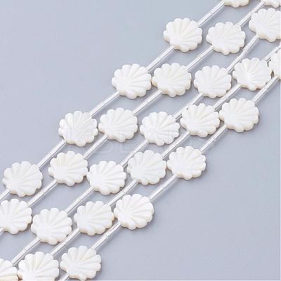 Natural White Shell Beads SSHEL-Q298-06-1