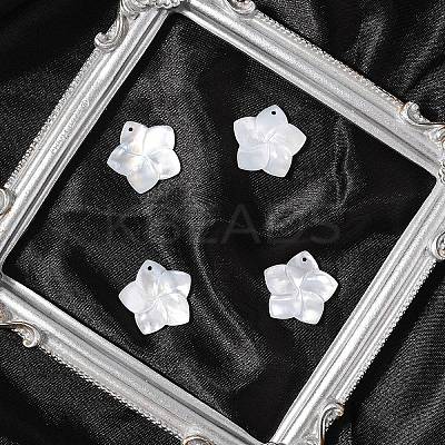 4Pcs Natural White Shell Mother of Pearl Shell Pendants SSHEL-YW0001-10-1