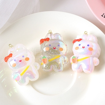 Acrylic Pendants OACR-L016-25-1