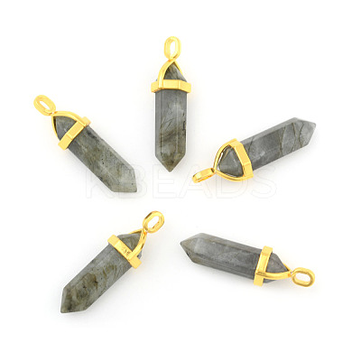 Natural Labradorite Pointed Pendants G-G902-A11-1