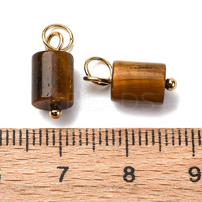 Natural Mixed Gemstone Column Charms with 304 Stainless Steel Jump Rings G-Q032-01-1