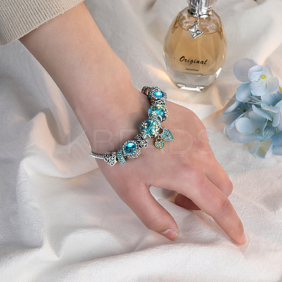 Zinc Alloy European Style Bracelets FS-WG01BDE-03-1