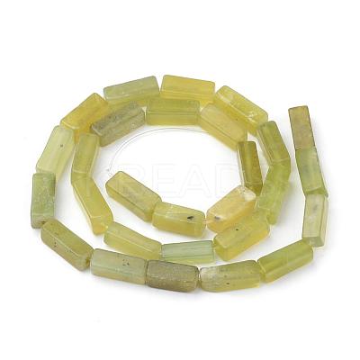 Natural Peridot Beads Strands G-Q949-003-1