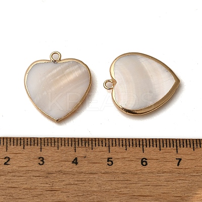 Natural Freshwater Shell Pendants SHEL-M021-14G-1