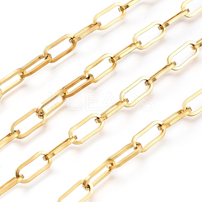 3.28 Feet Ion Plating(IP) 304 Stainless Steel Paperclip Chains X-CHS-D030-02G-1