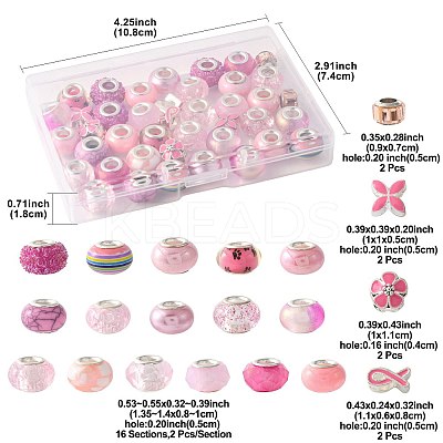 40Pcs 20 Styles Resin & Glass European Beads RPDL-FS0001-04-1