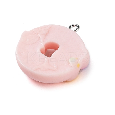 Opaque Resin Imitation Food Pendants CRES-M027-01C-1