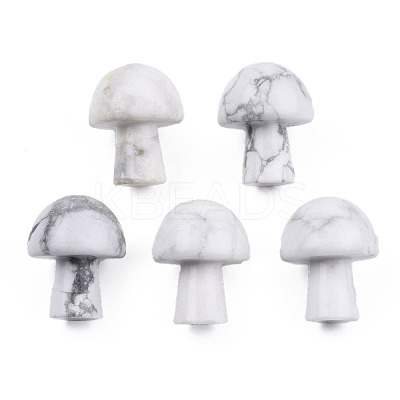 Natural Howlite G-N0325-02Y-1